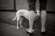 ddos攻击测试